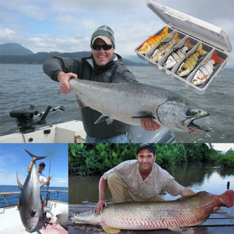 5pcs Lifelike  Bass Lure Bait with 3D Holographic Eyes