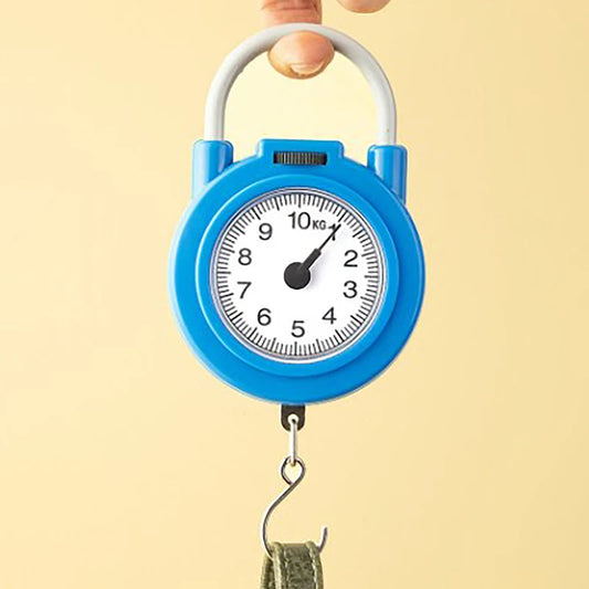 Hanging Mechanical Digital Handheld Spring Scale